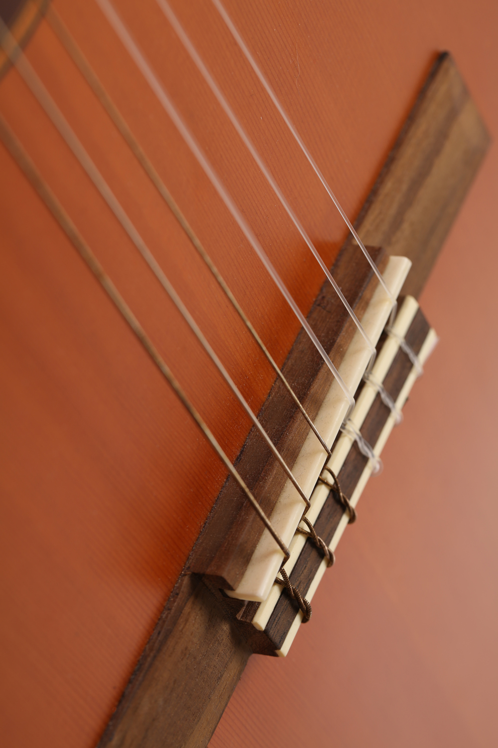 Córdoba Nylon String Guitar Capo