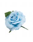 Flower light blue