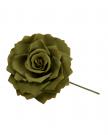 Flower dark green