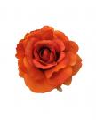 Flower orange