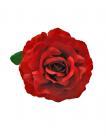 Flower dark red