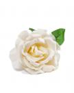 Flower white