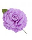 Flamenco Flower purple