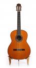 Cordoba C10 CD/IN Nylon String Guitar 