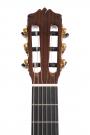 Cordoba C10 CD/IN Nylon String Guitar 