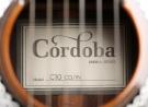 Cordoba C10 CD/IN Nylon String Guitar 