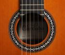 Cordoba C10 CD/IN Nylon String Guitar 