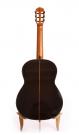 Cordoba C10 CD/IN Nylon String Guitar 