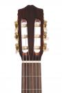 Cordoba Dolce nylon string guitar 7/8 for easier playability