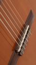Cordoba Dolce nylon string guitar 7/8 for easier playability