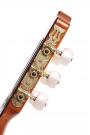 Cordoba Dolce nylon string guitar 7/8 for easier playability