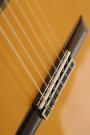 Cordoba C7 Nylon String Guitar