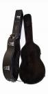 Guitar case Protege thin body 