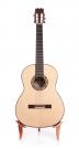 Flamenco Guitar Peña Vargas negra 