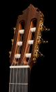 Flamenco Guitar Graciliano Perez negra 2024 concert