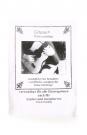 Gitano guitar rest