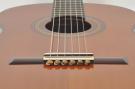 Guitar string tie brown amber color