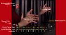 Learn and practice the palmas (DVD + Booklet)