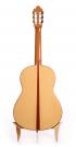 Flamenco Guitar Daniel Gil De Avalle blanca nr 150 2014 concert