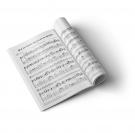 Camaron guitar score book with vocal melodies