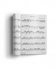 Guitar score book Ramon Montoya