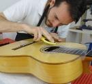 Precut adhesive transparent flamenco tap plate