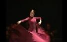 Soleá por Bulerías + Fandangos flamenco dance DVD lessons from the conservatory of Madrid vol 2