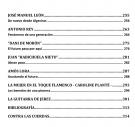 master contemporary flamenco guitarists vol 2