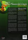 Learn flamenco guitar from the rhythm vol.1