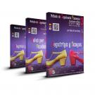 Pack flamenco dance DVD classes from the conservatory of Madrid DVD 1 2 3