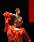 Sara Baras Sabores DVD