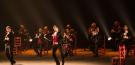 Farruquito and family: Live Show DVD