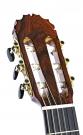 Guitar special grand concert flamenco Reyes model