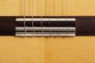 Guitar Reyes special grand concert flamenco blanca