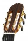 Guitar Reyes special grand concert flamenco blanca