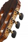 Guitar Reyes special grand concert flamenco blanca