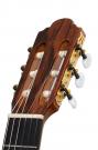 Navarro flamenco guitar blanca cypress
