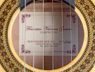 Navarro flamenco guitar blanca cypress