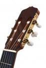 Leonard Plattner 2013 spruce cypress