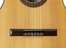 D.A.L. Janssen concert flamenco guitar spruce cypress 2011