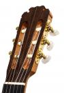 D.A.L. Janssen concert flamenco guitar spruce cypress 2011