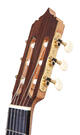 Reyes concert flamenco guitar (Lazarides)