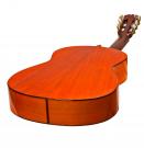 Antonio Torres Dorado concert flamenco guitar