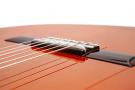 Antonio Torres Dorado concert flamenco guitar