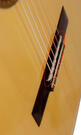 Guitar bridge saddle bone shapeable to your guitar