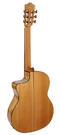 Salvador Cortez flamenco guitar Fishman pickup 