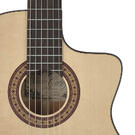 Salvador Cortez flamenco guitar Fishman pickup 