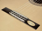 Salvador Cortez flamenco guitar Fishman pickup 
