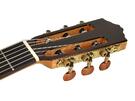 Salvador Cortez flamenco guitar Fishman pickup 