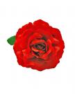 Flower red